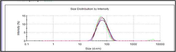 DLS를 통한 산화구리 나노입자의 분산성 그래프
