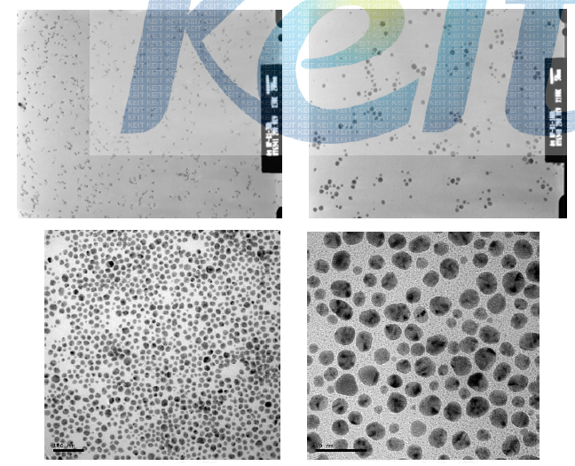 전기분해법을 통해 얻어진 Ag 나노입자의 TEM image