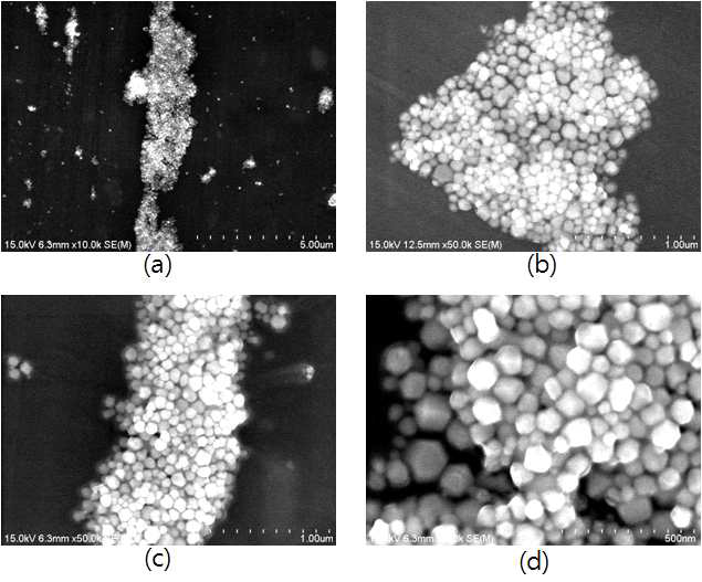 Ag 나노 입자의 FE-SEM 분석결과