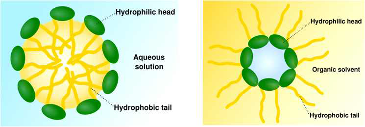 Micelle 구조를 이용한 분산성 향상