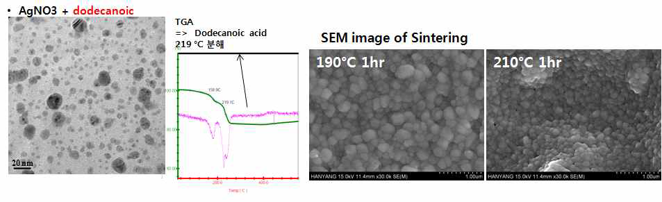Dodecanoic 이용 Random 입자 제조 및 소결
