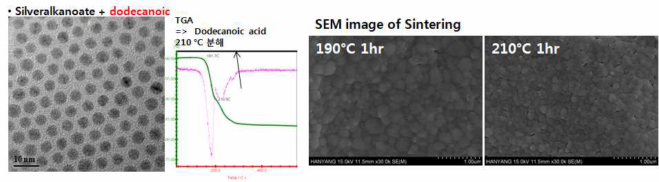 Dodecanoic 이용 6 nm 입자 제조 및 소결