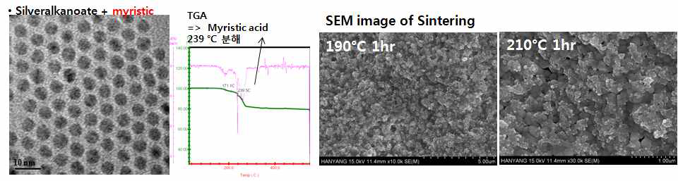 Myristic 이용 6 nm 입자 제조 및 소결