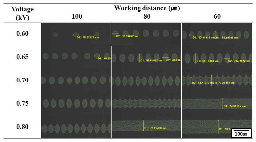 Working distance와 전압에 따라 변화하는 패턴의 광학현미경 이미지