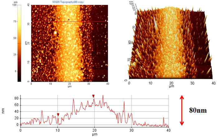 Si-wafer에 jettin한 Ag nano ink pattern의 AFM 이미지