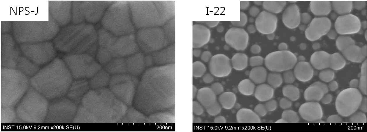 NPS-J와 I-22의 40분 소결 후 SEM 이미지