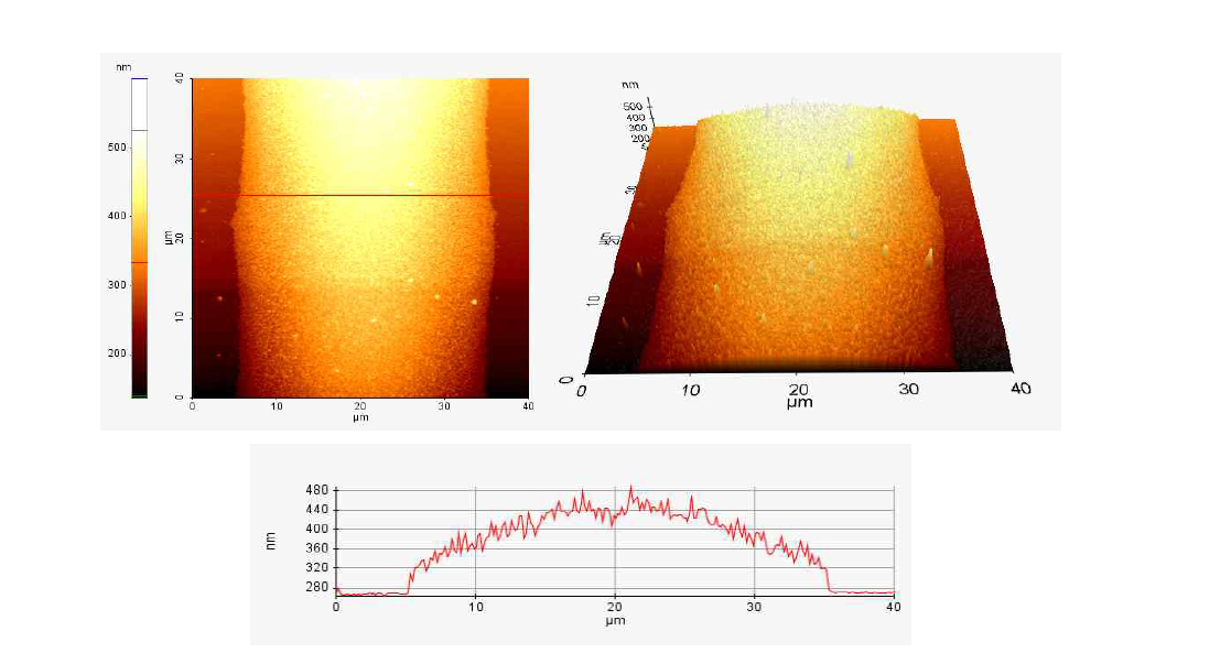 폭 30㎛의 Ag nano ink pattern의 AFM 이미지