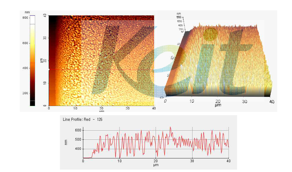 폭 50㎛의 Ag nano ink pattern의 AFM 이미지