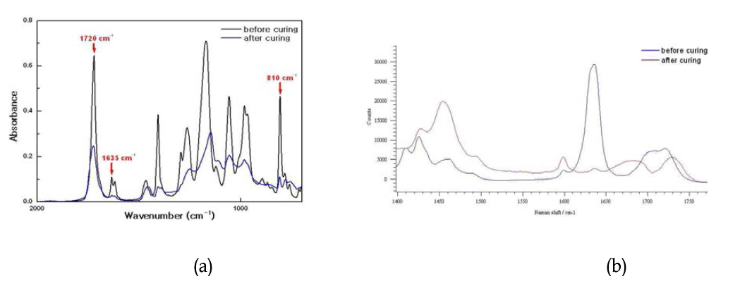 (a) TMPTA 광경화 전·후의 FTIR-ATR 스펙트럼과 (b) sample A의 광경화 전·후의 Raman 스펙트럼
