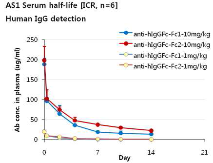 두 subtype 의 in vivo 혈중 반감기 비교: ICR mouse