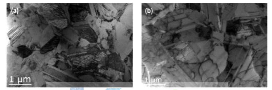 (a) Ion-milling, (b) Zet-polishing법으로 제작한 펄스전해증착 구리 박막의 TEM image