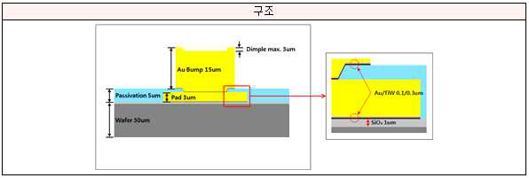 Chip Bump 구조