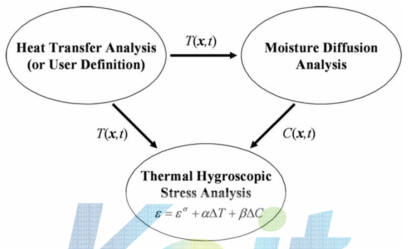 Modeling Hierachy for the Thermohygroscopic Stress Analysis