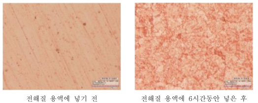 전해질 용액의 용해 실험