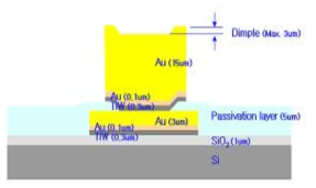 Au bump 구조