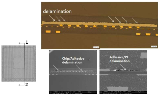 PCT 시험 후 Die 표면/adhesive 계면, adhesive/PI 계면에서 delamination