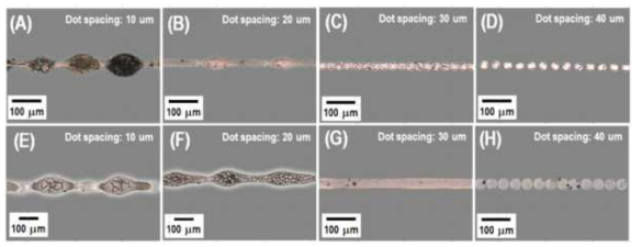 표면 처리 전(A-D)과 후의 (E-H) 기판에 액적 간 거리에 따라 잉크젯 프린팅 된 패턴을 수소분위기 하에서 250℃의 온도로 1시간동안 열처리 후의 광학 현미경 사진.