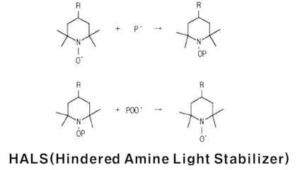 HALS의 uv 활성된 라디칼 분자 포집 메카니즘