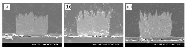 Sn-Bi계 범프의 단면 SEM 사진