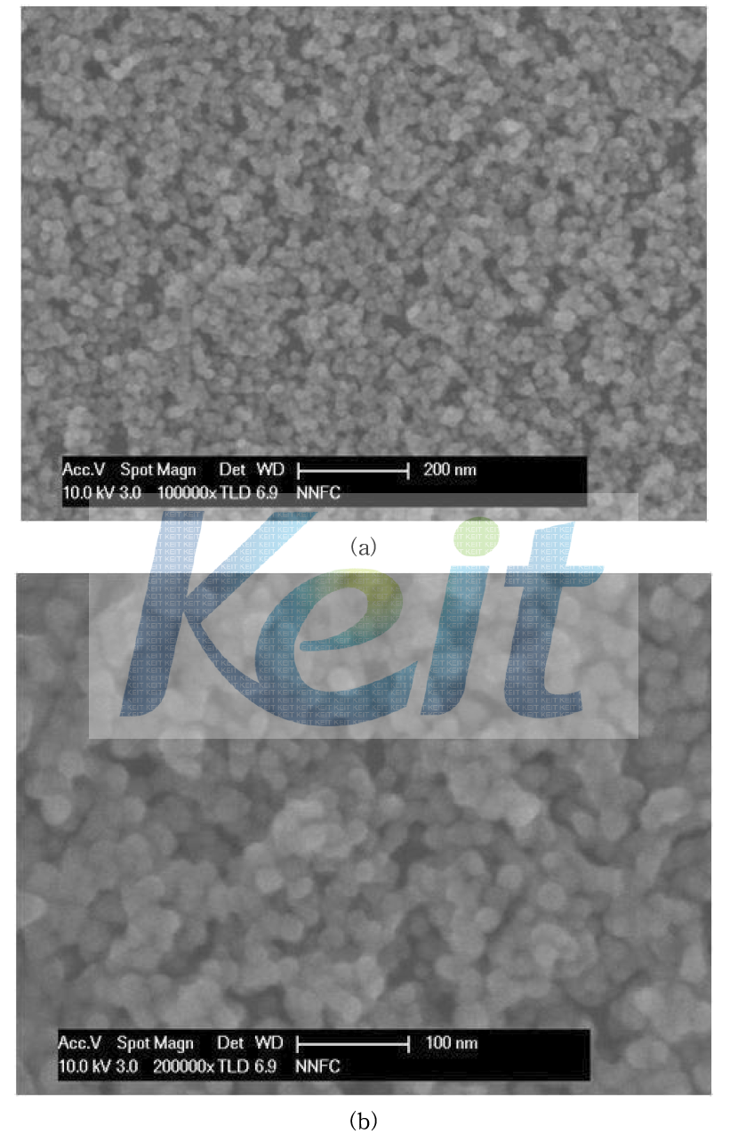 건식 나노입자의 주사전자현미경 사진