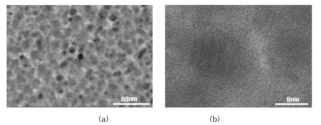 나노입자의 TEM 사진