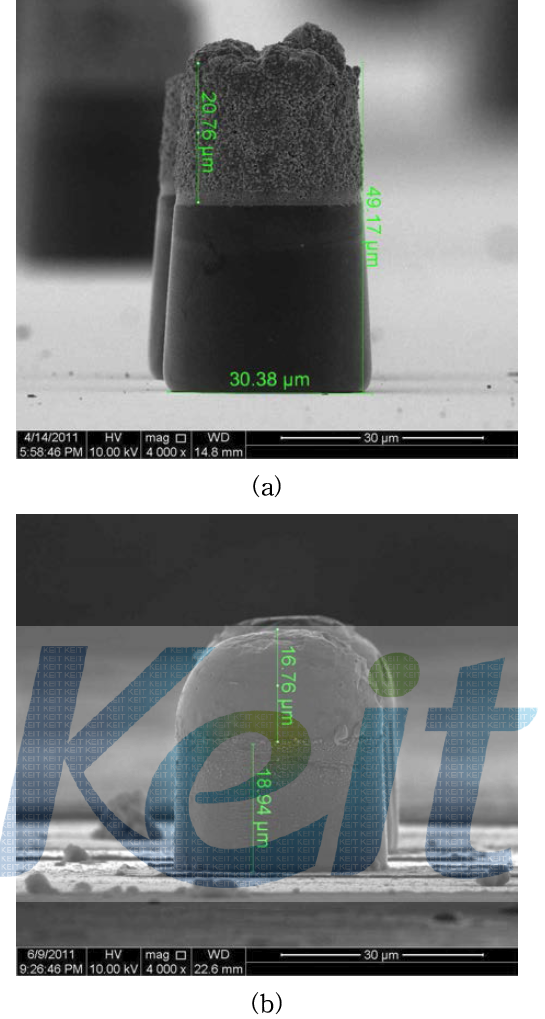 (a) Sn-Bi bump (b) 형성된 bump의 reflow후 형상
