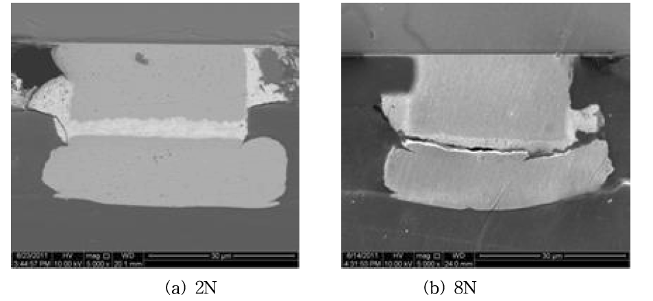 접합 하중에 따른 접합 단면의 SEM 이미지