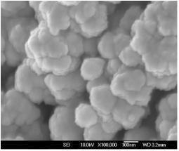 1,10-phenanthroline monohydrate 코팅 물질 사용 시: methanol 용매에서 상온 합성 후 60℃에서 건조된 주석 나노입자의 SEM 이미지