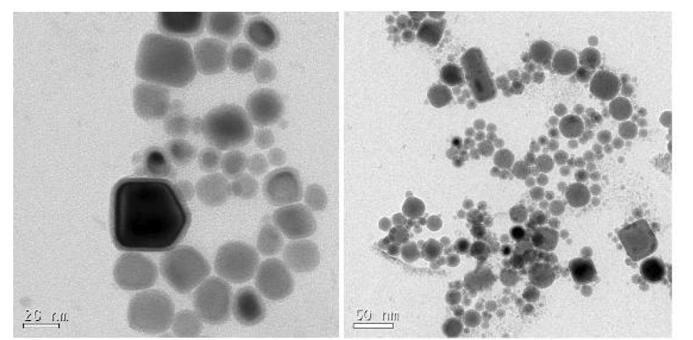 Tin(Ⅱ) acetate precursor 사용 시 합성된 Sn 나노입자의 TEM 이미지