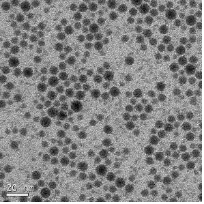 Tin(Ⅱ) 2-ethylhexanoate 사용 시 합성된 Sn 나노입자의 TEM 이미지