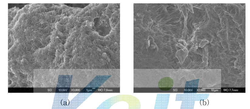 기상 코팅법으로 코팅 된 경화 촉매 분말의 SEM Image