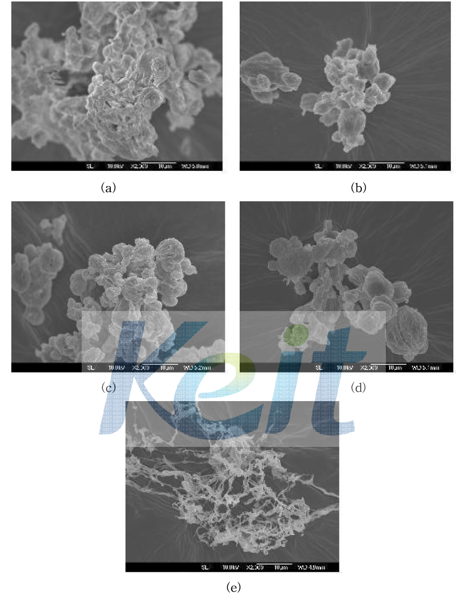 분무 건조에 의해 제조 된 분말의 SEM Image