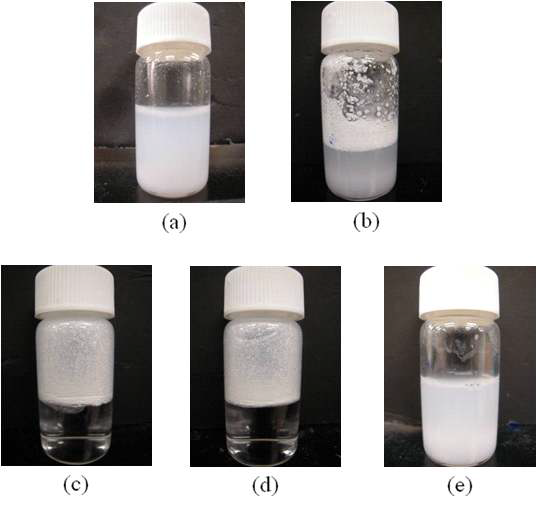 Hydrophobic silane으로 개질된 실리카 샘플의 물과 분리실험: (a) SiO2, (b) 80oC, (c) 100oC, (d) 120oC, (e) physically mixed SiO2.