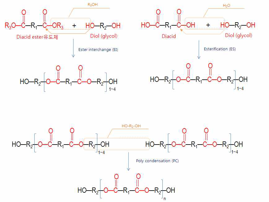Polyester 중합 공정개략도 및 반응 메커니즘