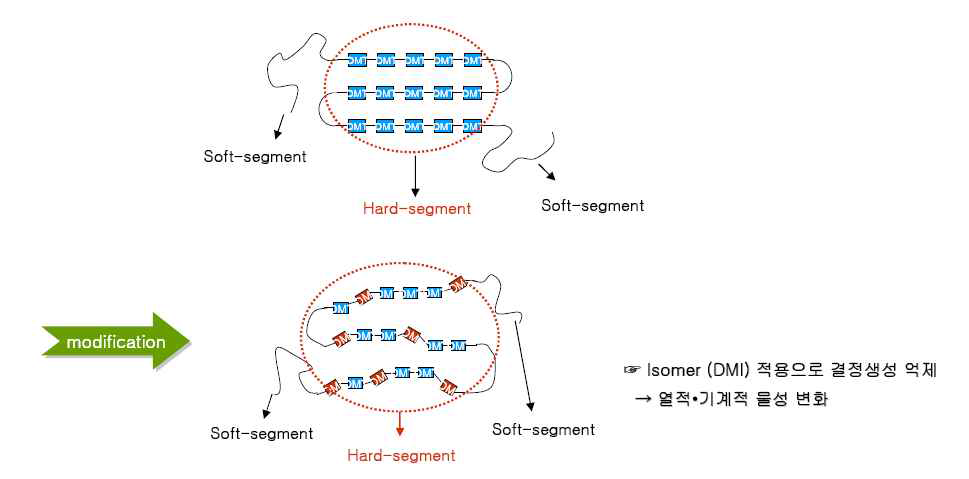 DMT isomer인 DMI 적용 공중합 모식도