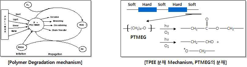 Polymer 분해 반응 모식도와 TPEE 분해 거동