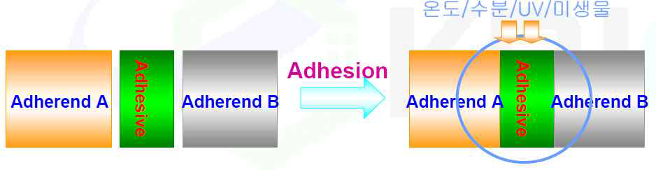 접착열화의 모식도
