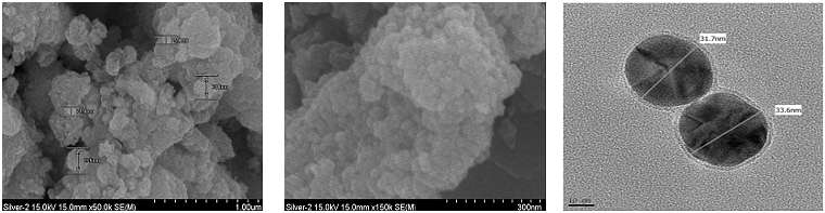 습식 합성법의 additive 및 solubility 변화에 따른 Ag nano particle 측정 (TEM /SEM)