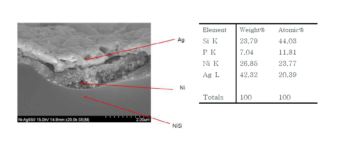 순차적 소결 전극 형성 공정, 열처리 후 SEM-EDS data(다결정 웨이퍼)