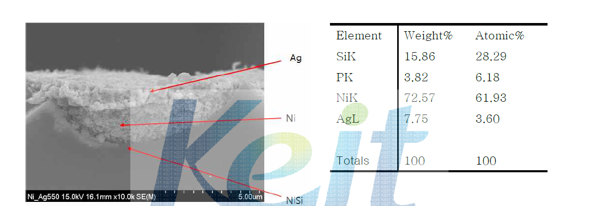 Co-firing 전극 형성 공정, 550℃ 열처리 후 SEM-EDS data(다결정 웨이퍼)