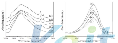 Hydrophobic silane으로 개질된 실리카의 FT-IR 분석