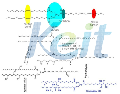 친환경 원료를 이용한 Soft Segment 합성 Mechanism