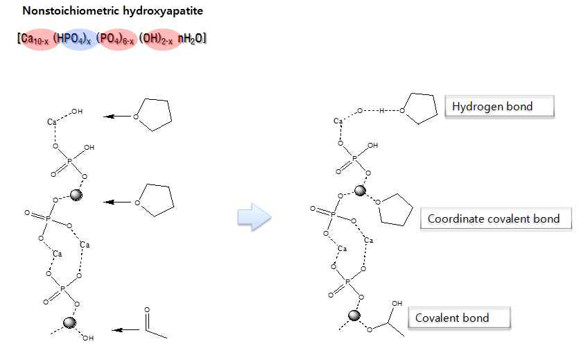 Ca-phosphate 제거제 구조 및 제거 기작