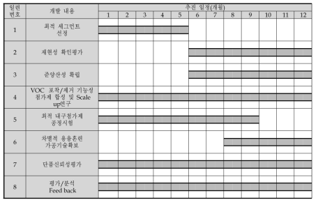 3차년도 개발 상세 일정