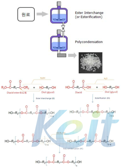 Polyester 중합 공정개략도 및 반응 메커니즘