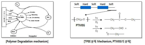 Polymer 분해 반응 모식도와 TPEE 분해 거동