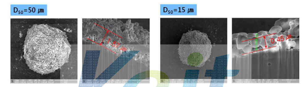 평균입경 50 ㎛ 및 15 ㎛ 코어쉘 분말의 단면 SEM 사진