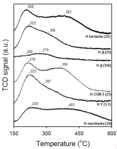 Temperature-programmed desorption of ammonia (NH3-TPD) patterns for zeolite.