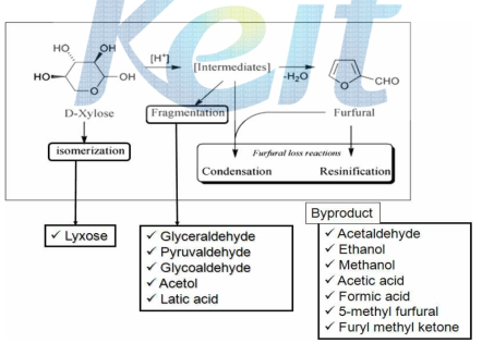 Scheme for dehydration of D-xylose.