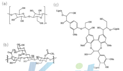섬유질계 바이오매스의 구조 및 리그닌의 구조